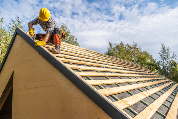 Best Roof Gutter Cleaning  in Morenci, MI