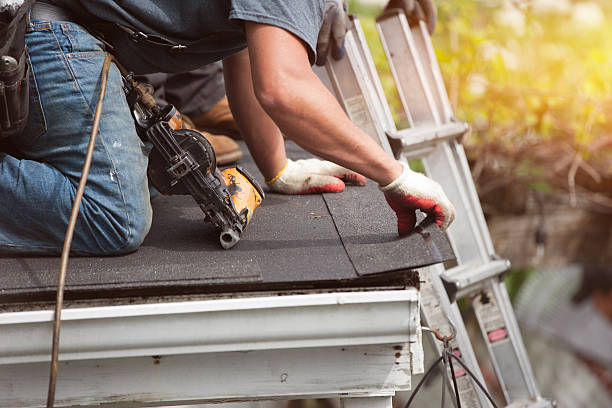 Best Roofing Contractor Near Me  in Morenci, MI