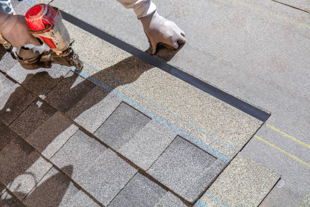 Best Roof Inspection Near Me  in Morenci, MI