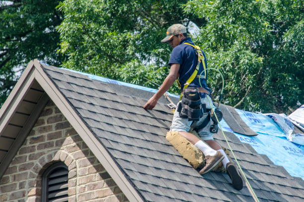 Best Gutter Installation and Roofing  in Morenci, MI