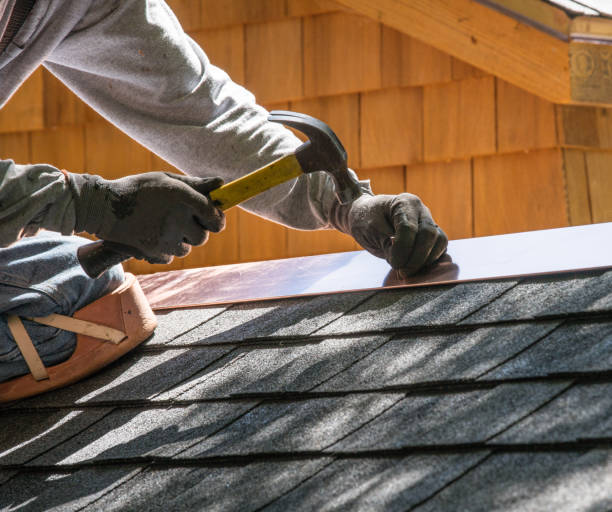 Best Residential Roof Replacement  in Morenci, MI